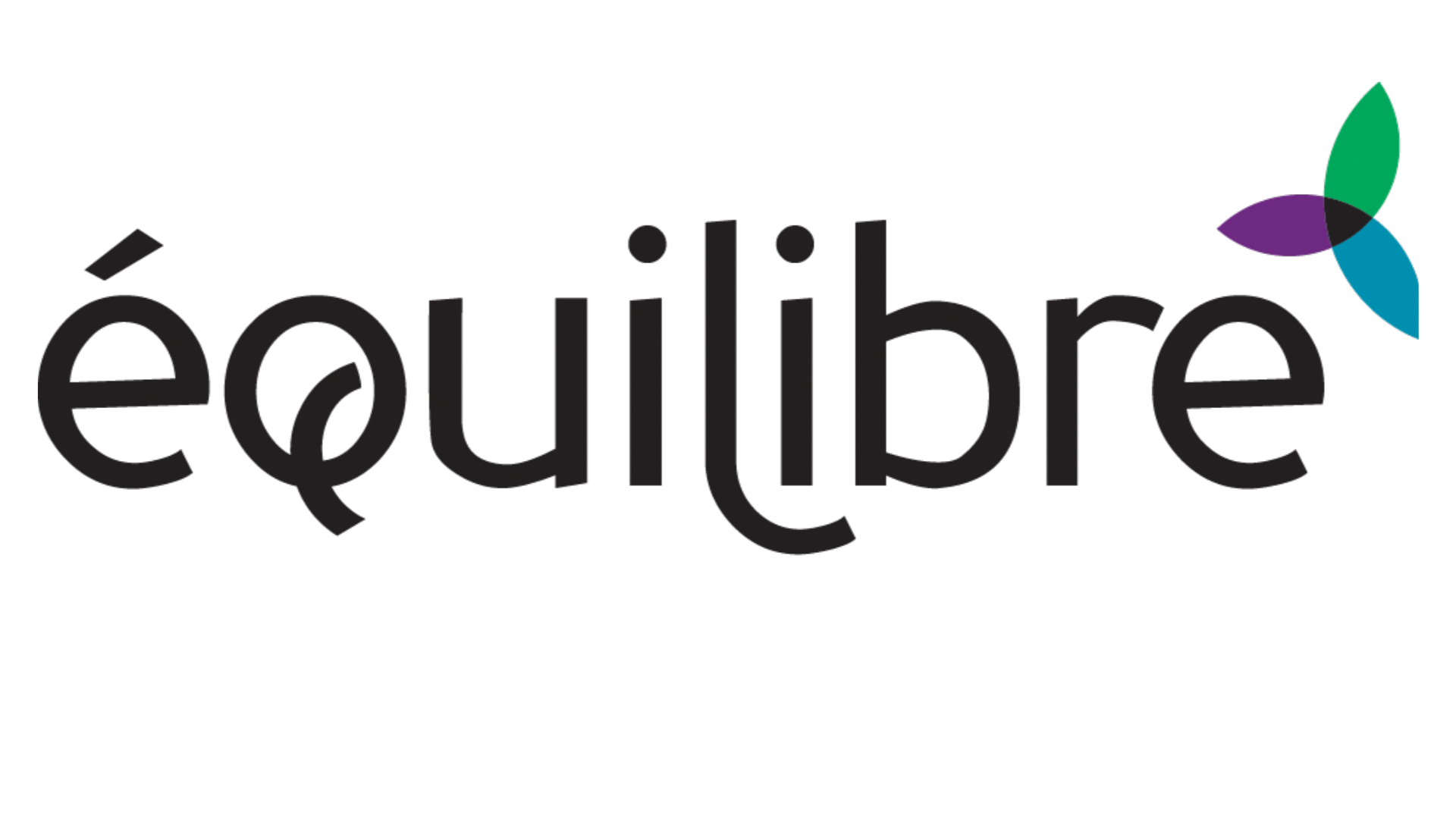 Un nouvel article en collaboration avec l'organisme ÉquiLibre